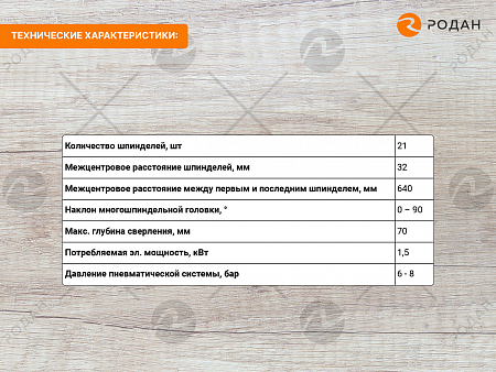 Cтанок cверлильно-присадочный WoodTec 21 PRO