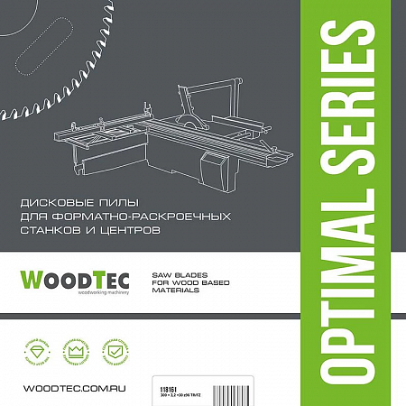 Пила для форматно-раскроечных станков Ø100 х 22 х 2,8-3,6 Z = 12 + 12  WoodTec