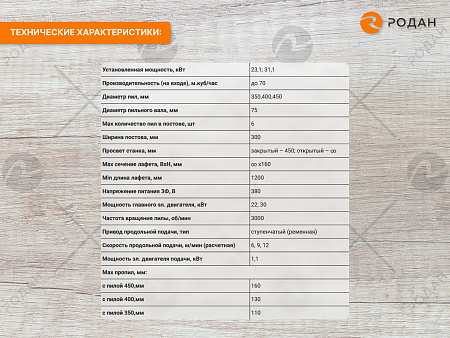 Станок многопильный ТРИУМФ-300