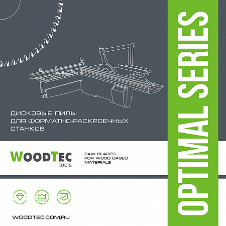 WoodTec подрезная пила для форматно-раскроечных станков 120 × 22 × 2.8/3.6 z= 12+12 - rodan.ru