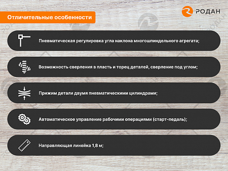 Cтанок cверлильно-присадочный WoodTec 21 PRO