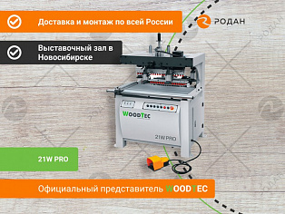 Сверлильноприсадочный станок WoodTec 21W PRO в Новосибирске - rodan.ru