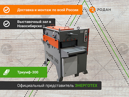 Станок многопильный ТРИУМФ-300