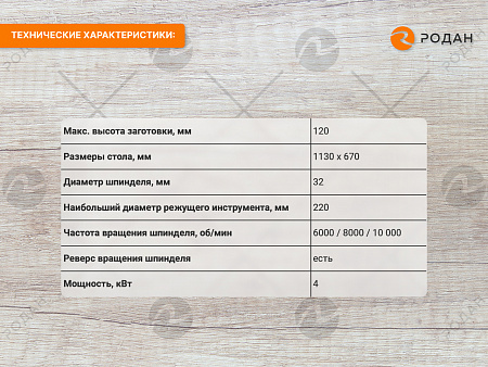 Фрезерный станок WoodTec FS 120